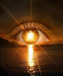 eye